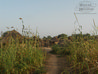 Segundo poço artesiano de Burkina sendo aberto no village de Yadogo