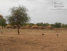 Paisagem típica de Burkina Faso